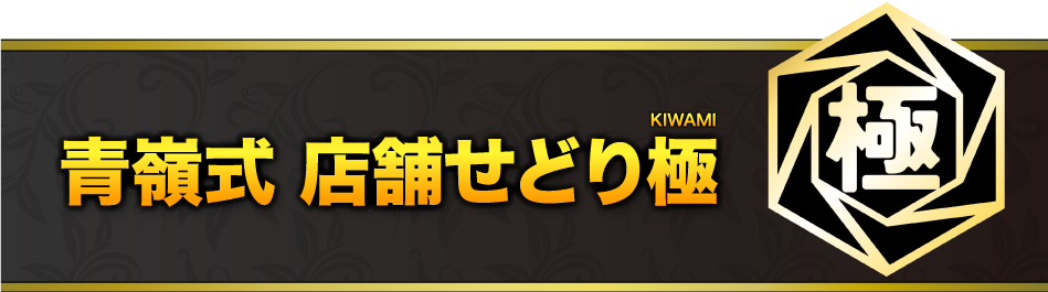 青嶺式 店舗せどり極
