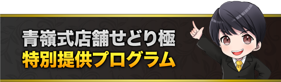 青嶺式店舗せどり極 特別提供プログラム