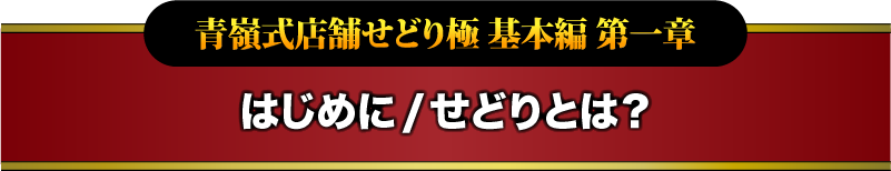 青嶺式店舗せどり極 基本編 第一章 はじめに/せどりとは？