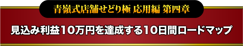 青嶺式店舗せどり極 応用編 第四章 見込み利益10万円を達成する10日間ロードマップ